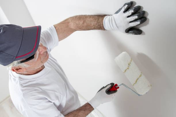 Best Emergency Mold Remediation  in Lakemoor, IL