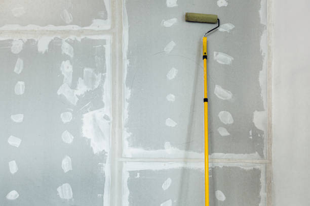 Best Mold Prevention Services  in Lakemoor, IL