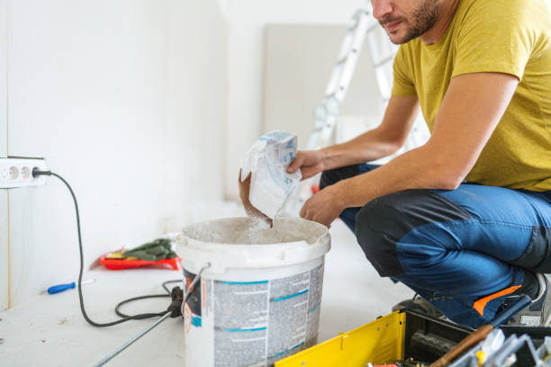 Mold Remediation for Vacation Homes in Lakemoor, IL