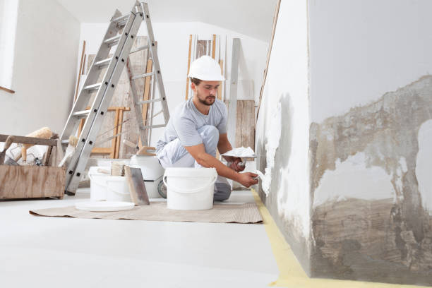 Best Mold Documentation for Insurance Claims  in Lakemoor, IL