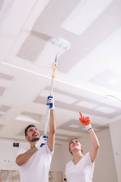 Best Air Quality Testing for Mold Spores  in Lakemoor, IL