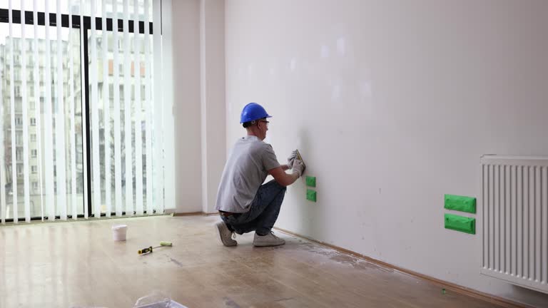 Best Industrial Mold Remediation  in Lakemoor, IL