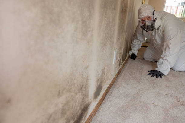 Best Residential Mold Inspection & Testing  in Lakemoor, IL