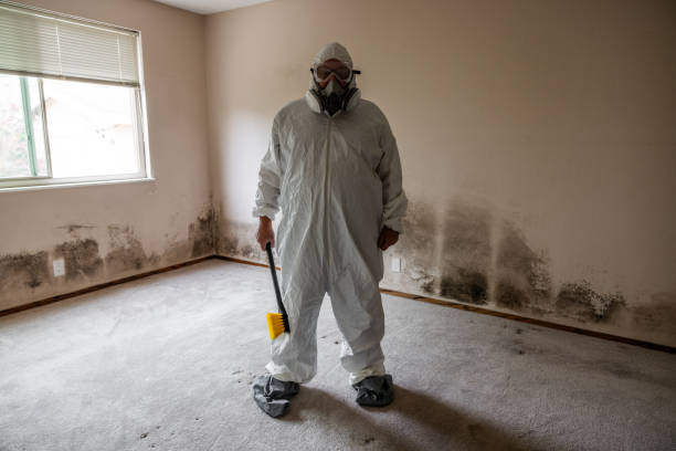 Best Asbestos and Lead Testing During Mold Inspection  in Lakemoor, IL