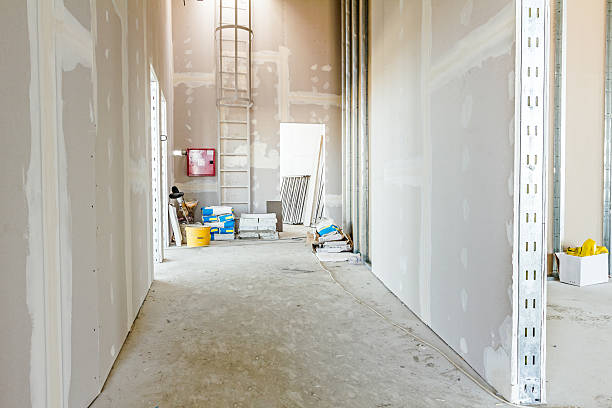 Best Mold Remediation for Vacation Homes  in Lakemoor, IL